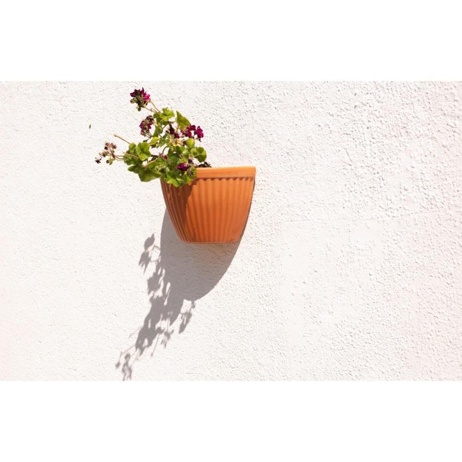 Bb Silvercoast Casa Das Flores Santa Catarina  Εξωτερικό φωτογραφία