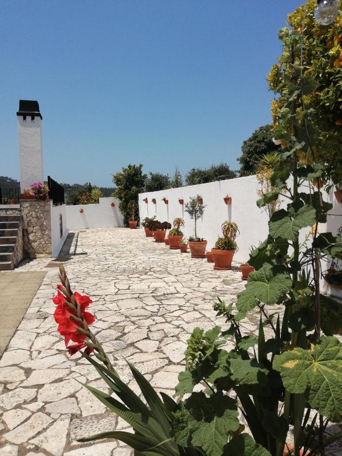Bb Silvercoast Casa Das Flores Santa Catarina  Εξωτερικό φωτογραφία